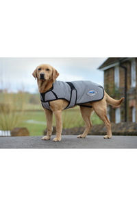 Weatherbeeta Comfitec Reflective Dog Coat - Silver